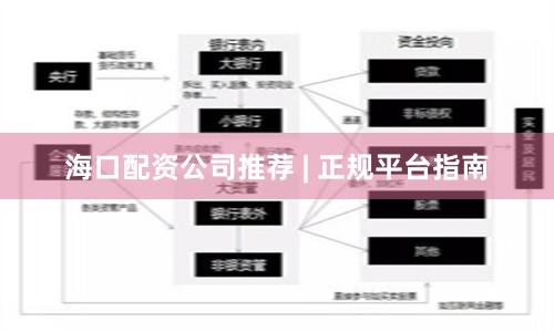 海口配资公司推荐 | 正规平台指南